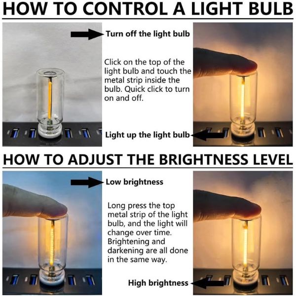 CARBULB-3831127633848-EN-5__080426